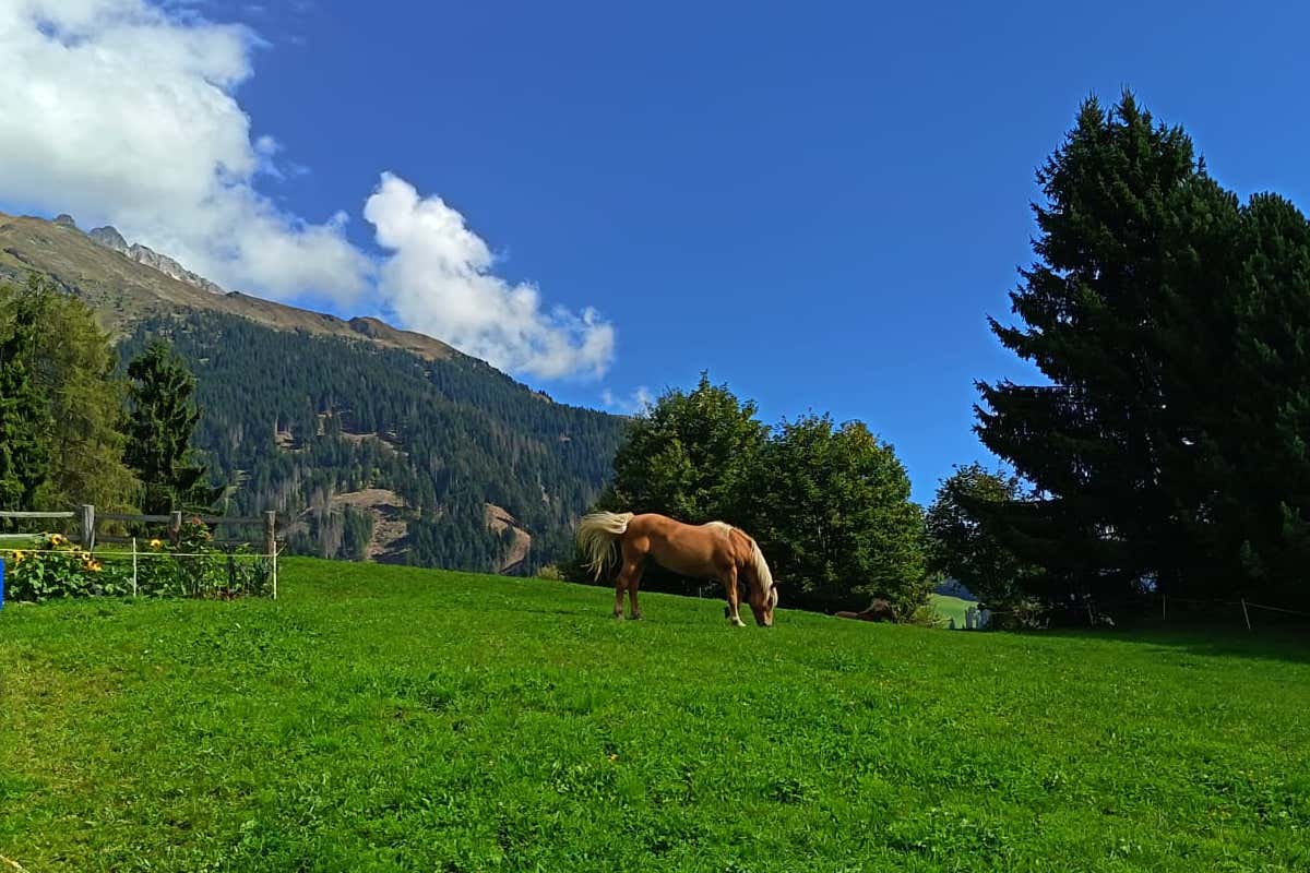 Benessere tra le Alpi: l'hotel dove vivere l’autunno tra Sky Pool, saune e natura