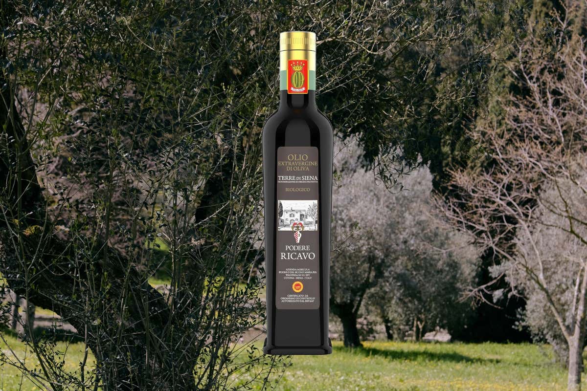 Perché l'olio evo toscano è così ricercato nonostante la bassa produzione?