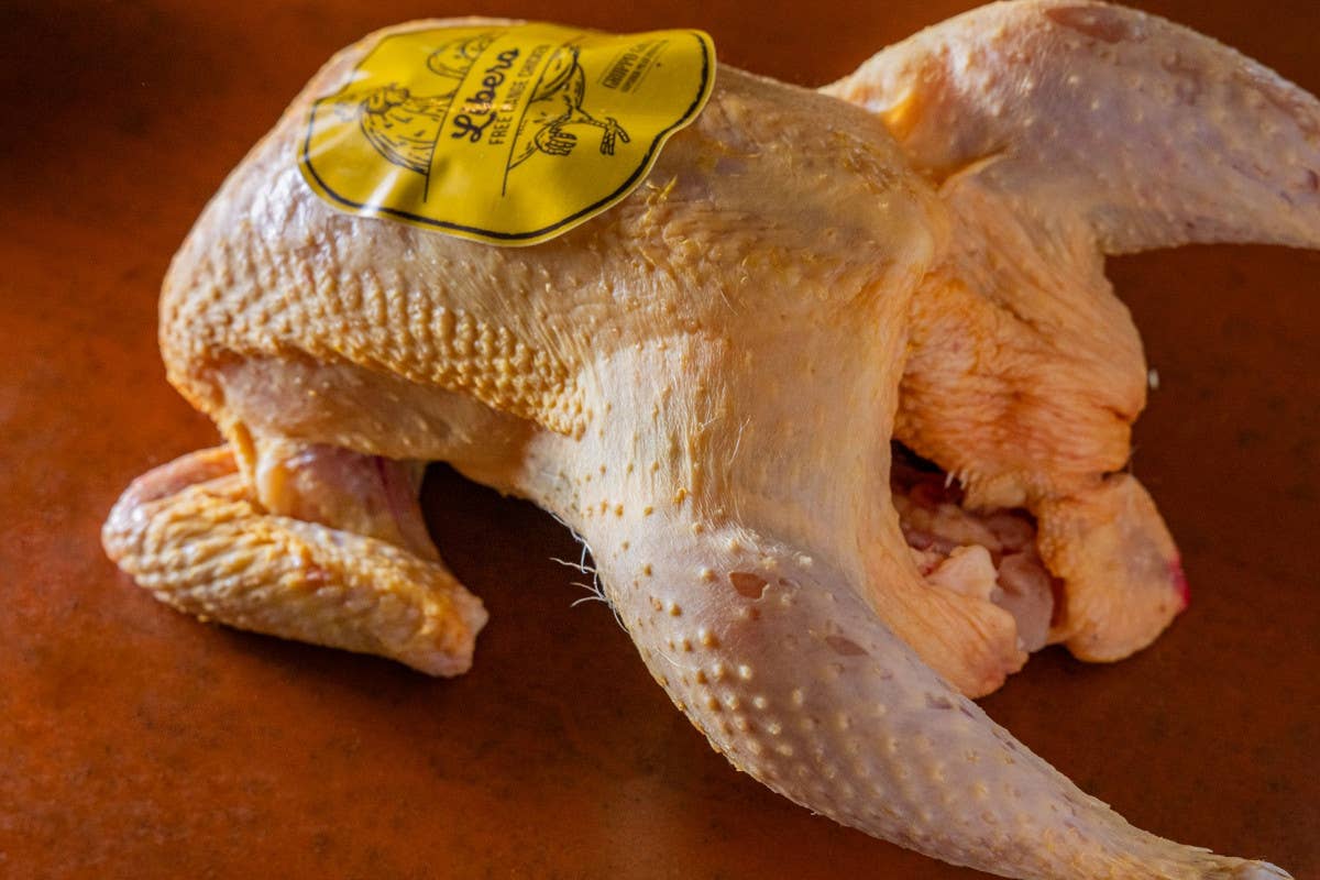 Il pollo “Libero”, la rivincita del gusto autentico e del benessere animale