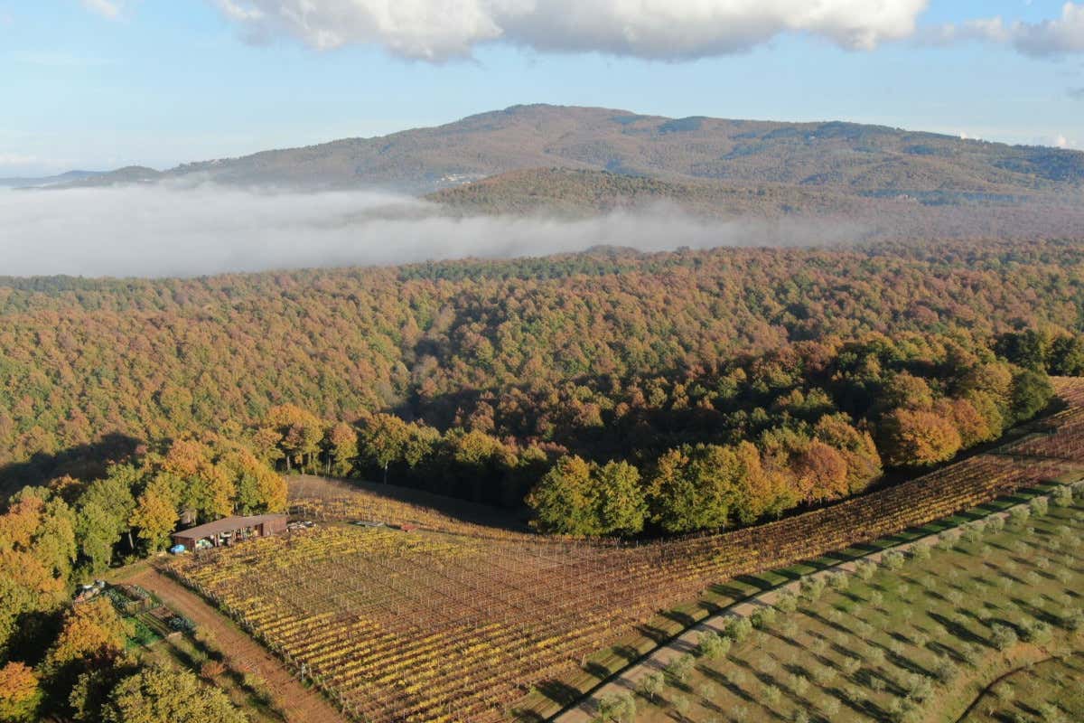 Pomario, la cantina dell'Umbria che non ti aspetti Pomario, la cantina dell'Umbria che non ti aspetti
