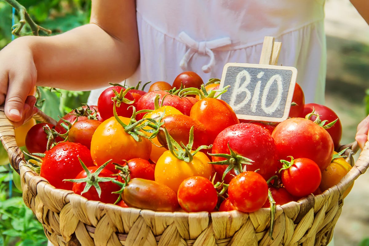 Lo sapevi che i pomodori biologici contengono più vitamina C e antiossidanti?