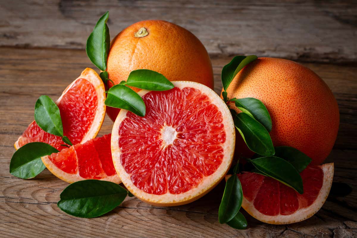 Pompelmo, l’agrume che aiuta il fegato e difende dalle infiammazioni Pompelmo, l’agrume che aiuta il fegato e difende dalle infiammazioni