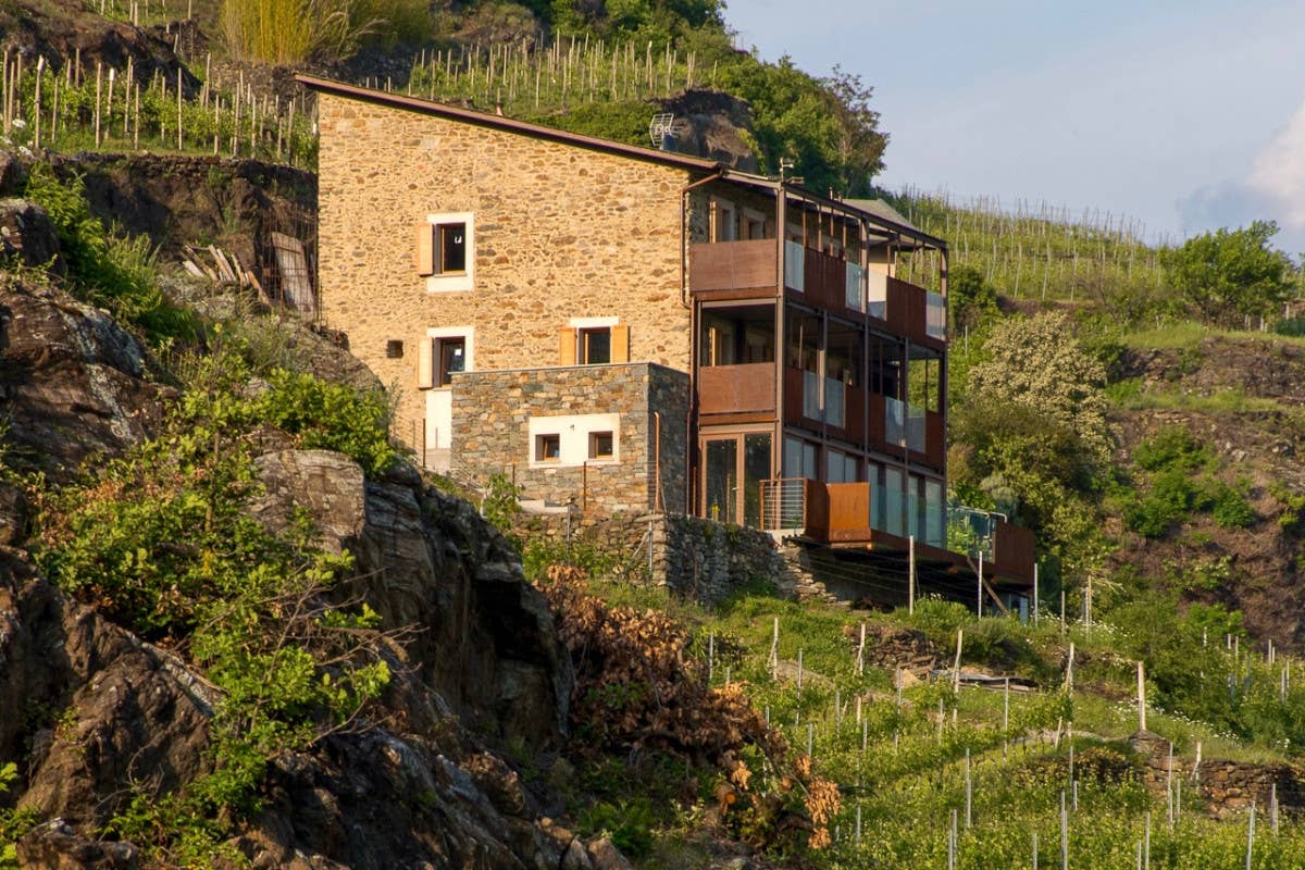 Valtellina tra vigne e benessere: 8 luoghi per ricaricarsi al sapore di vino 