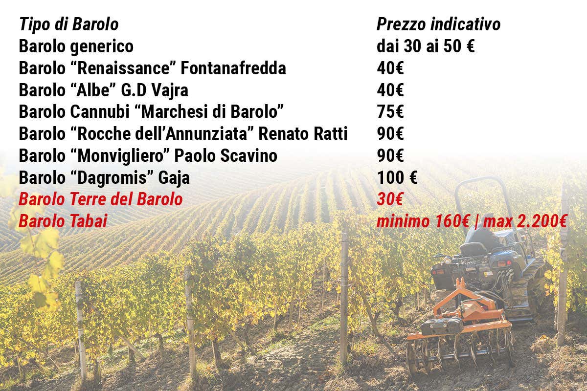 Il mistero del Barolo Tabai: niente cantina ma bottiglie da mille euro