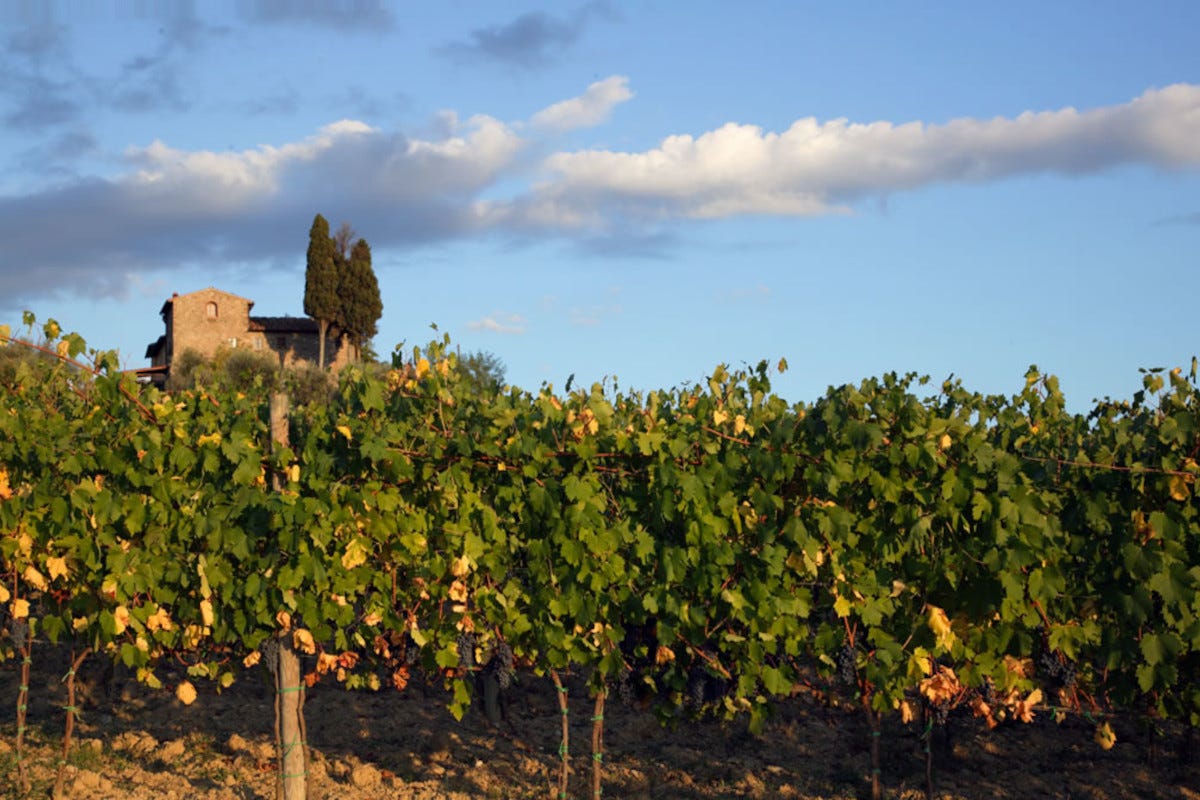 Le difficoltà del vino italiano e l'esempio della Toscana