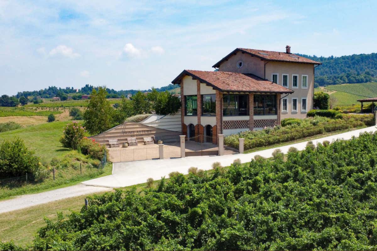 Progetto Wine Village Resort a Casteggio, come investire tra vigne e ospitalità