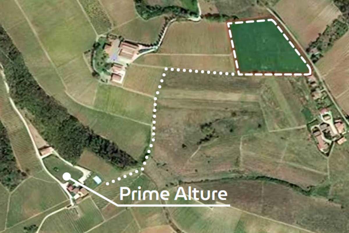 Progetto Wine Village Resort a Casteggio, come investire tra vigne e ospitalità
