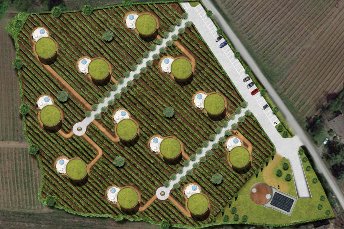 Progetto Wine Village Resort a Casteggio, come investire tra vigne e ospitalità