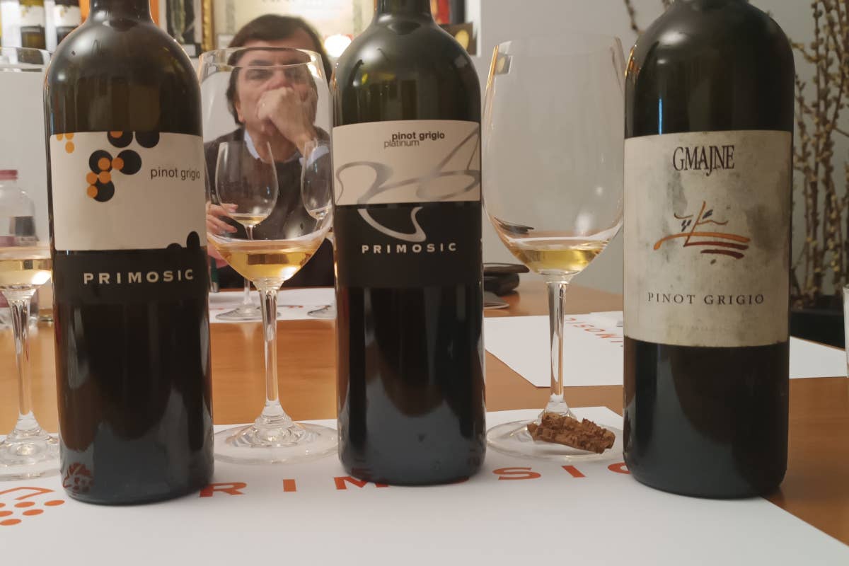 Pinot Grigio nel Collio: un viaggio attraverso le annate con Marko Primosic