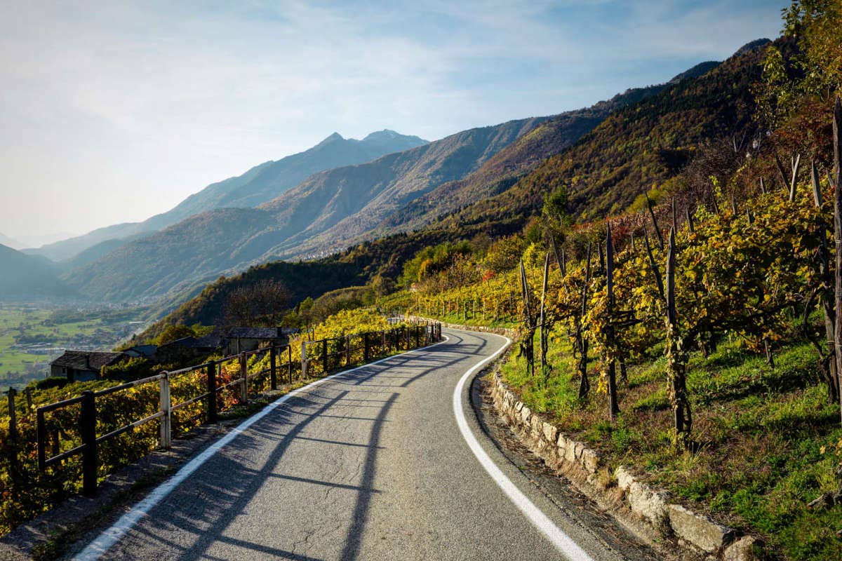 Strade del vino: Lombardia prima regione ad adottare il modello di promozione