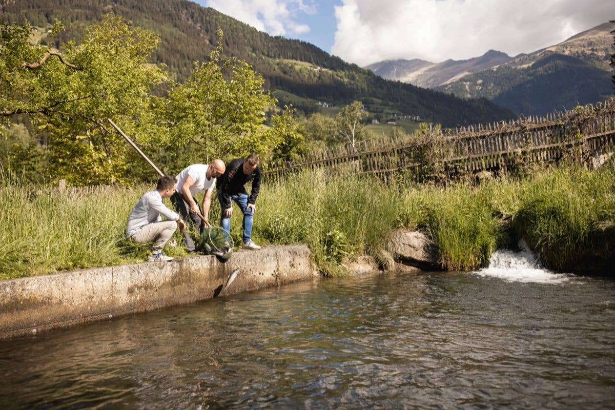 Autunno gourmet al Quellenhof: il viaggio sensoriale al ristorante 