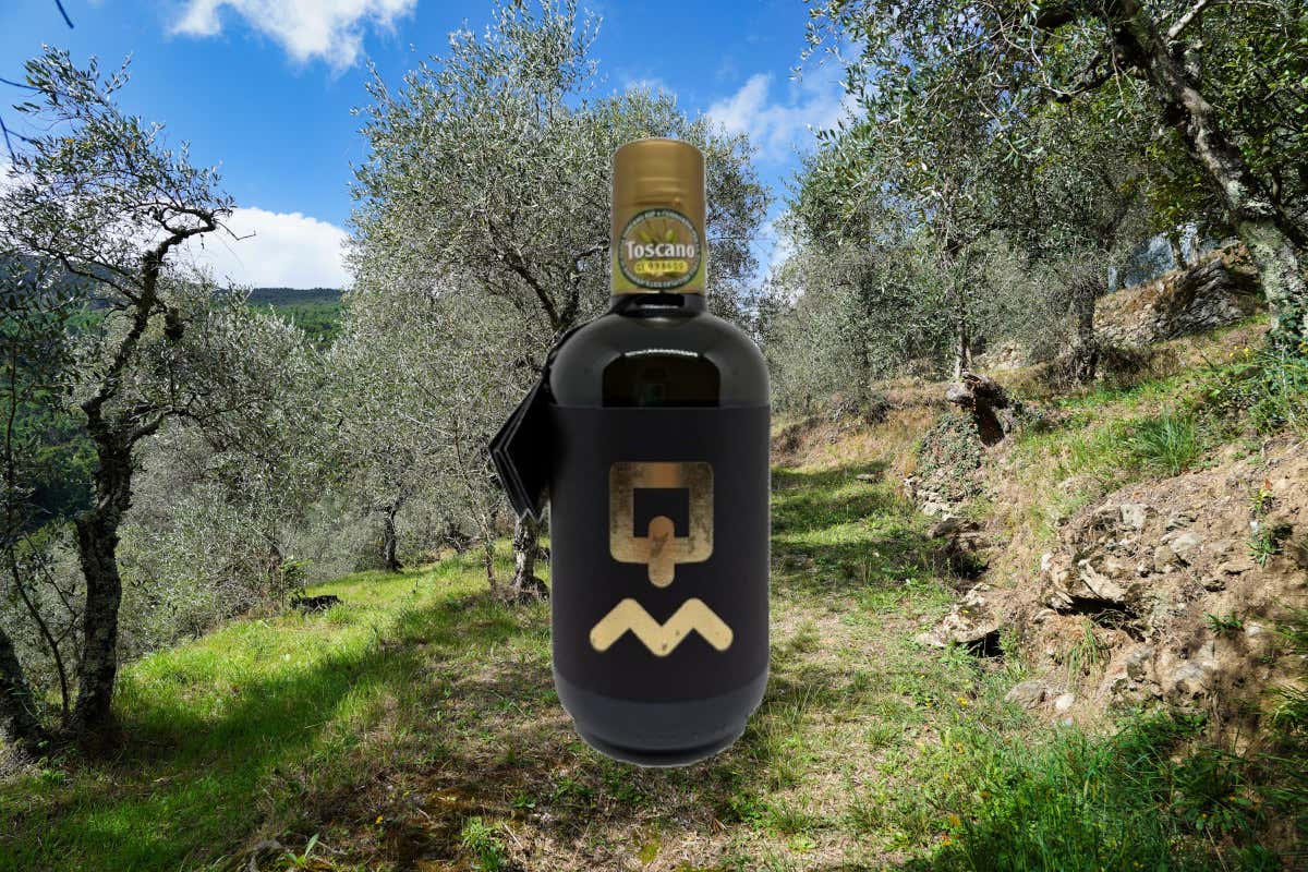 Perché l'olio evo toscano è così ricercato nonostante la bassa produzione?