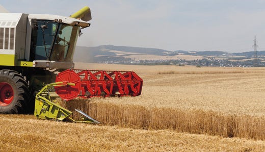 Crisi e caldo minacciano il cibo Su i prezzi per il taglio dei raccolti