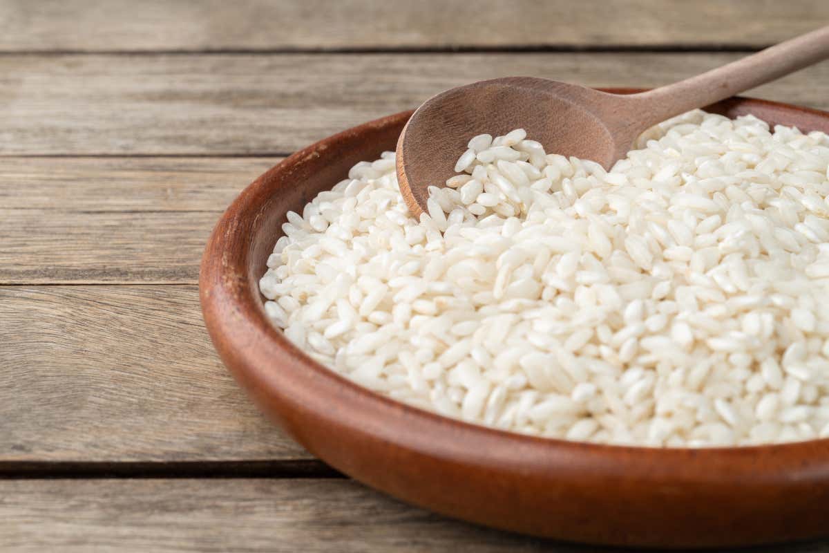 Il Carnaroli festeggia 80 anni: storia, origine e celebrazioni del re del riso Il Carnaroli festeggia 80 anni: storia, origine e celebrazioni del re del riso