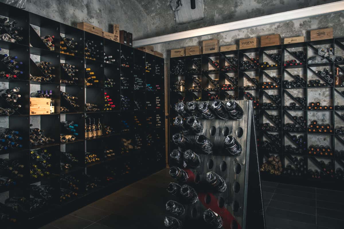 Ricca proposta di vini Re Santi e Leoni, tutta la creativit&agrave; di Salomone