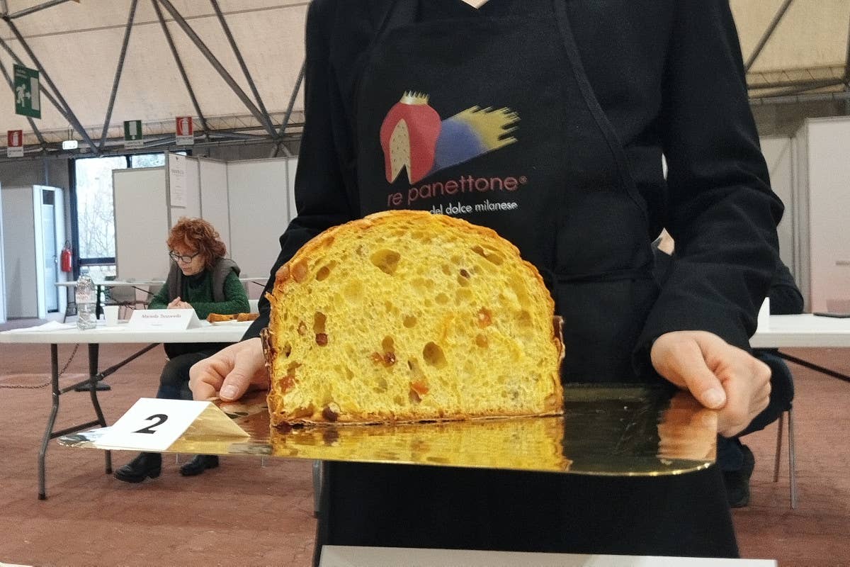 Il lievito madre: protagonista indiscusso di RePanettone 2024