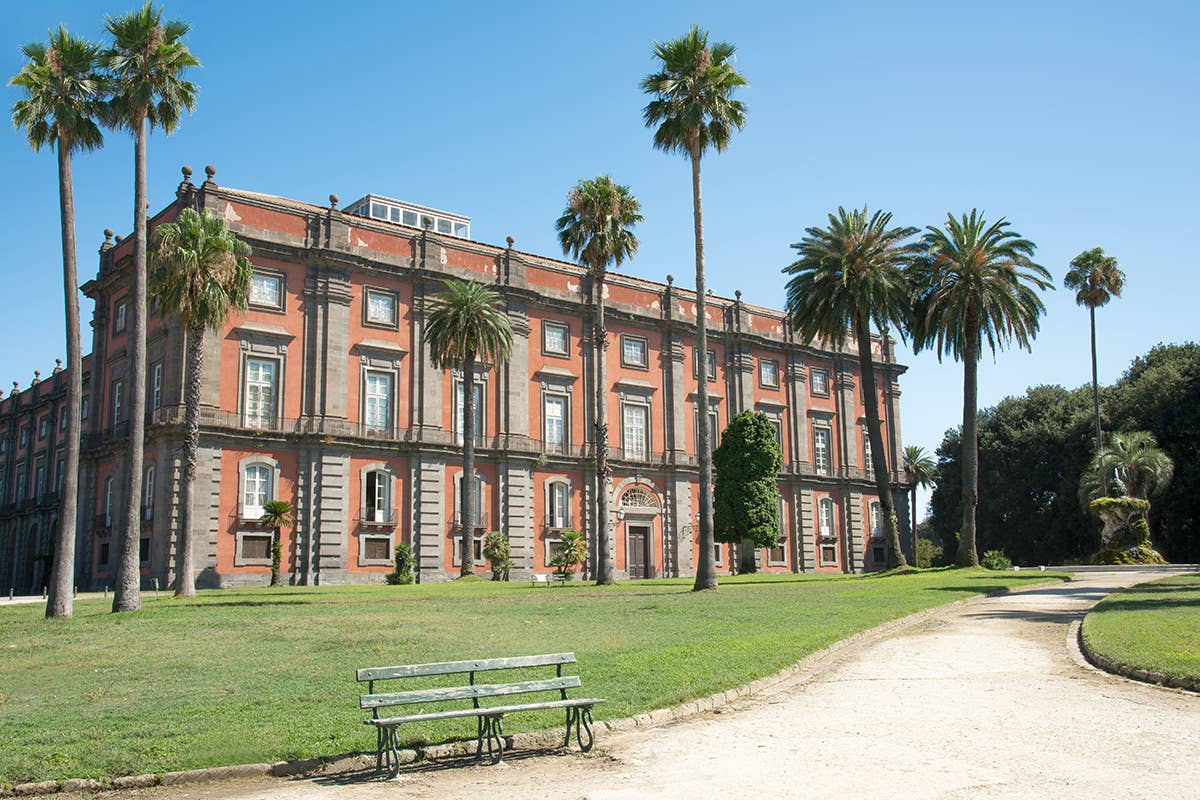 La splendida Reggia di Capodimonte Tra storia, arte e cultura: tre dei più importanti musei di Napoli