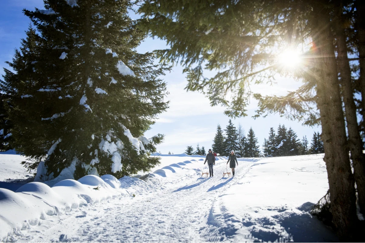 Slittino in alto Adige (foto Alex Filz) Nella Regione di Lana tutte le strade portano alla neve