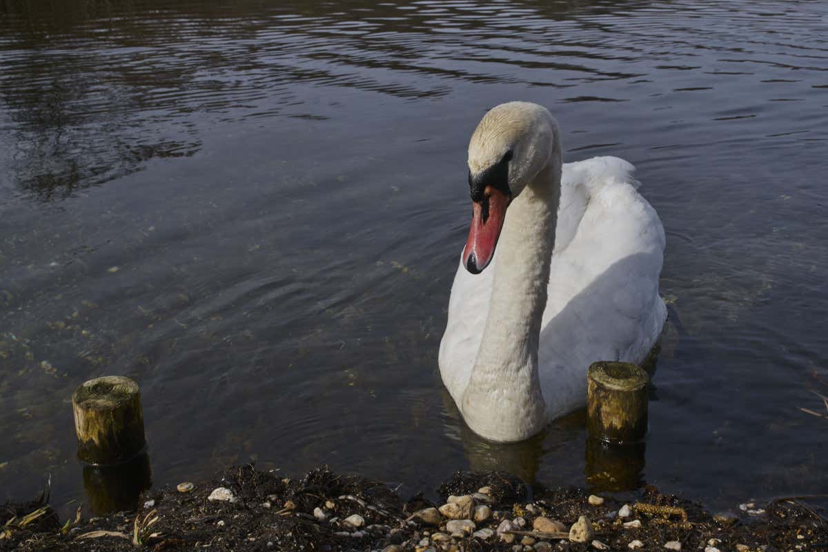 L'Inghilterra una fogna a cielo aperto: il turismo finirà tra le vittime?