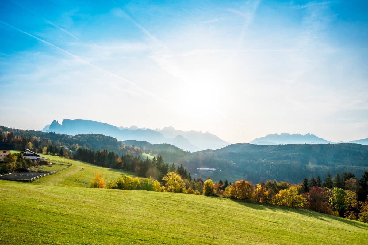 L'Altipiano del Renon (foto Manuela Tessaro) Autunno, tutti in vigna: apre Rebe, il nuovo sentiero del vino tra Bolzano e il Renon