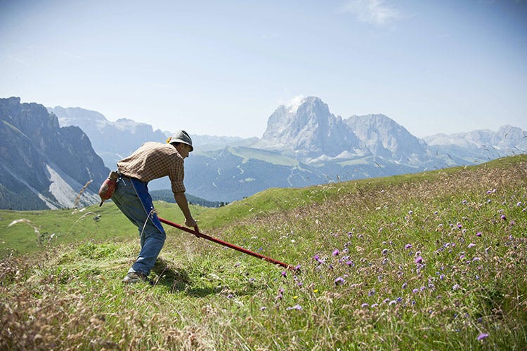 Il progetto Respect the Dolomites per sensibilizzare