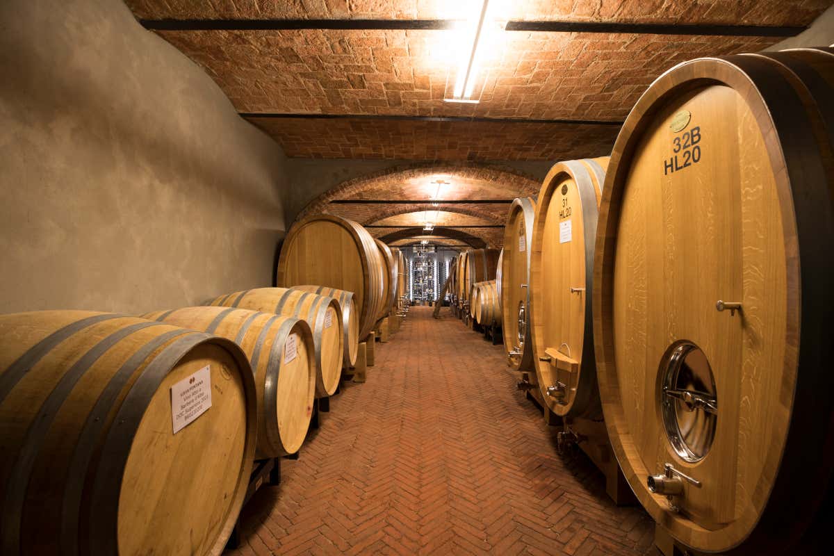 Livia, Michele e Lorenzo Fontana: così nasce il Barolo che guarda lontano