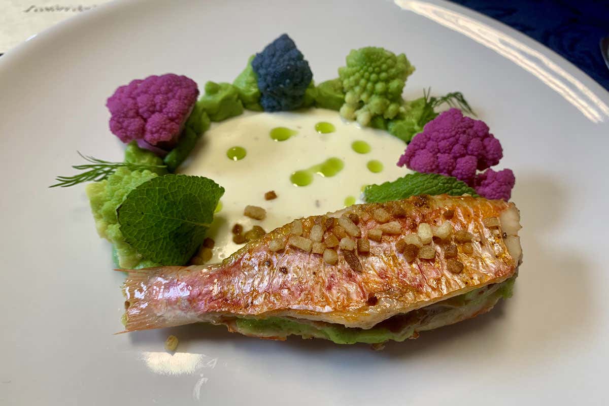 Giovani chef e prevenzione: a Milano la gara che unisce cucina e salute