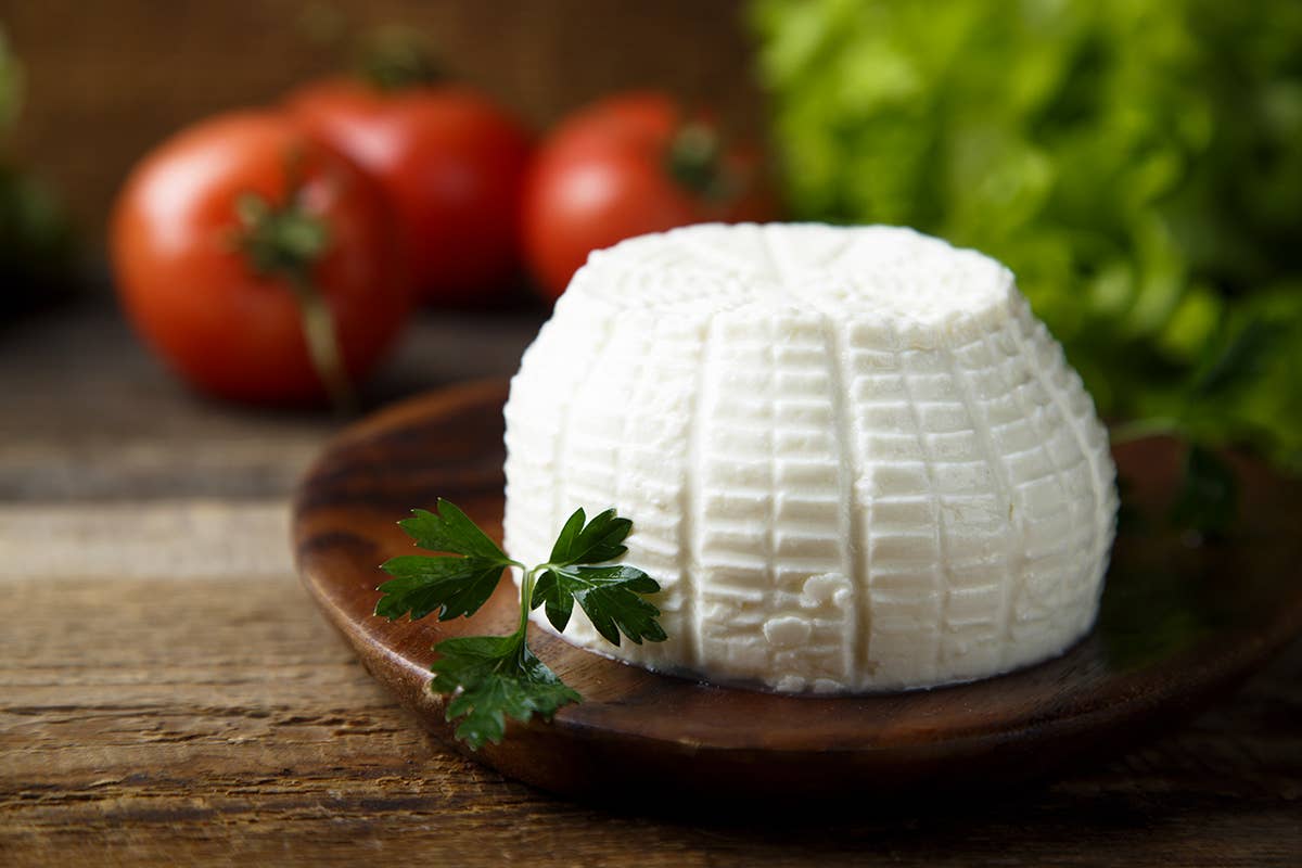 Ricotta, il formaggio più sano La ricotta il formaggio più sano grazie all'alta concentrazione di proteine