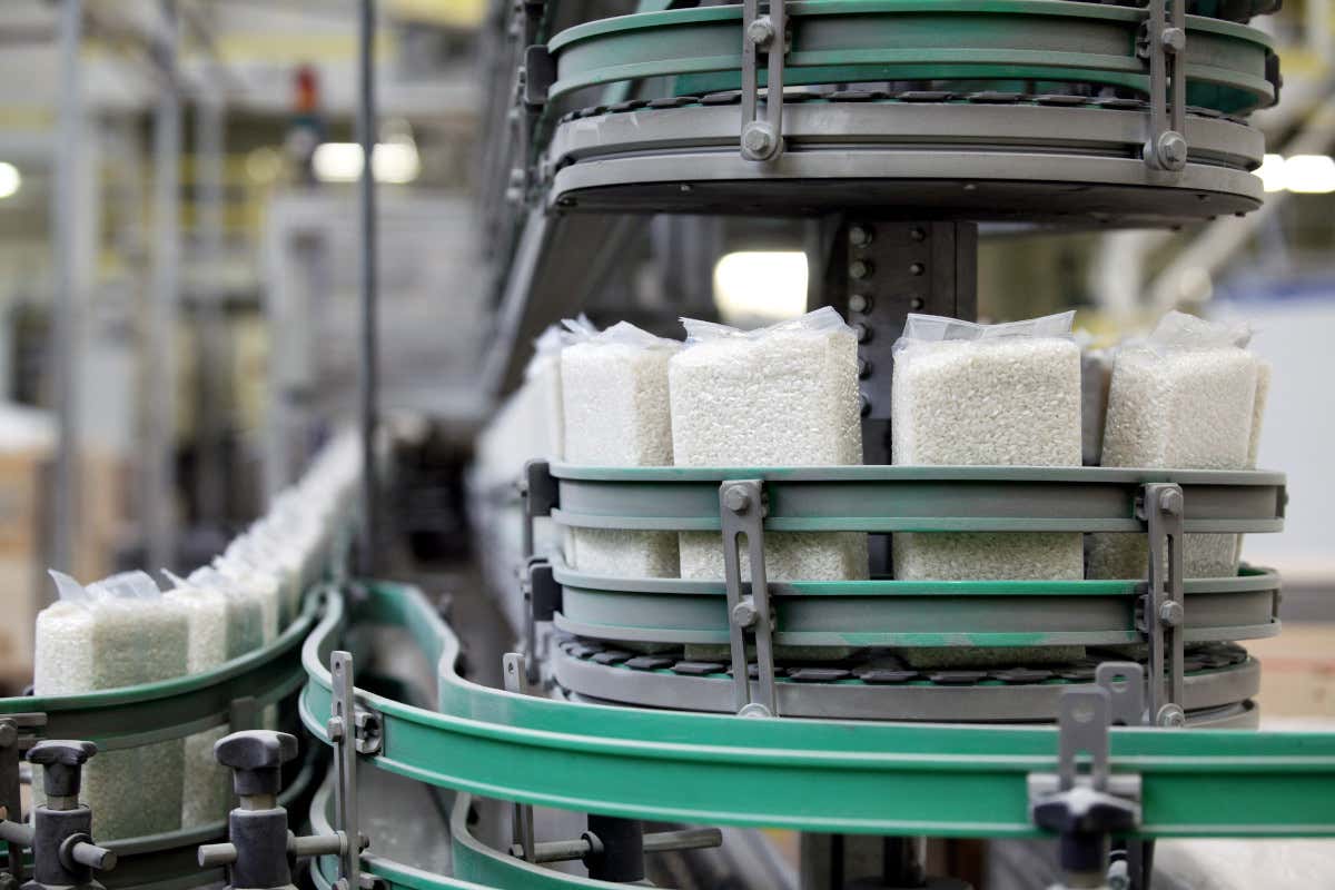 Prezzi bassi (come 10 anni fa), costi alle stelle: l’allarme dei risicoltori pavesi