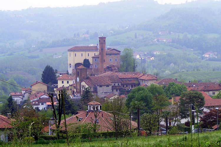 (Mostra Mercato del Tartufo bianco d'Alba della Regione Piemonte raccolto nelle colline torinesi)