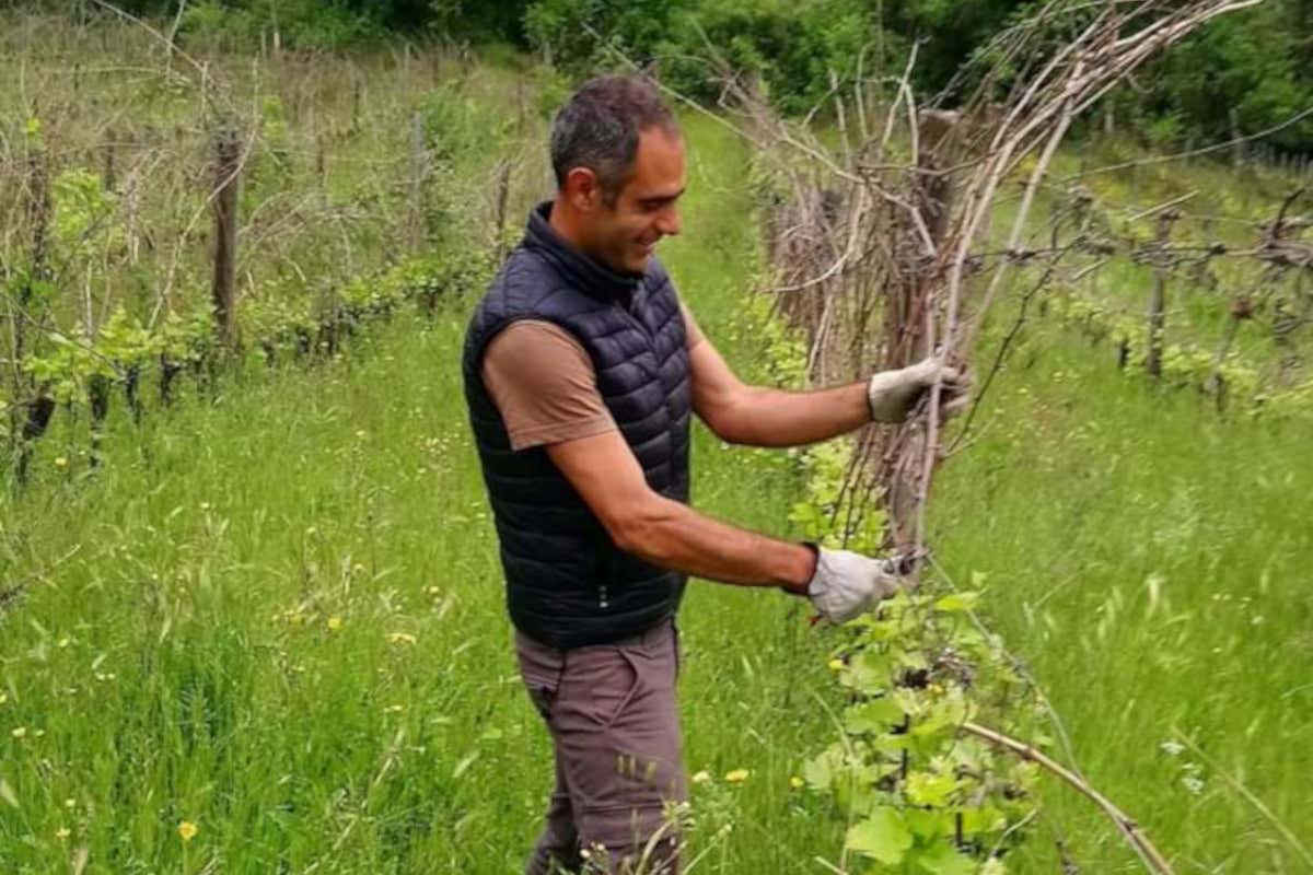 Roberto Rondelli: il vignaiolo ligure che punta all'eccellenza con le sue 5 etichette