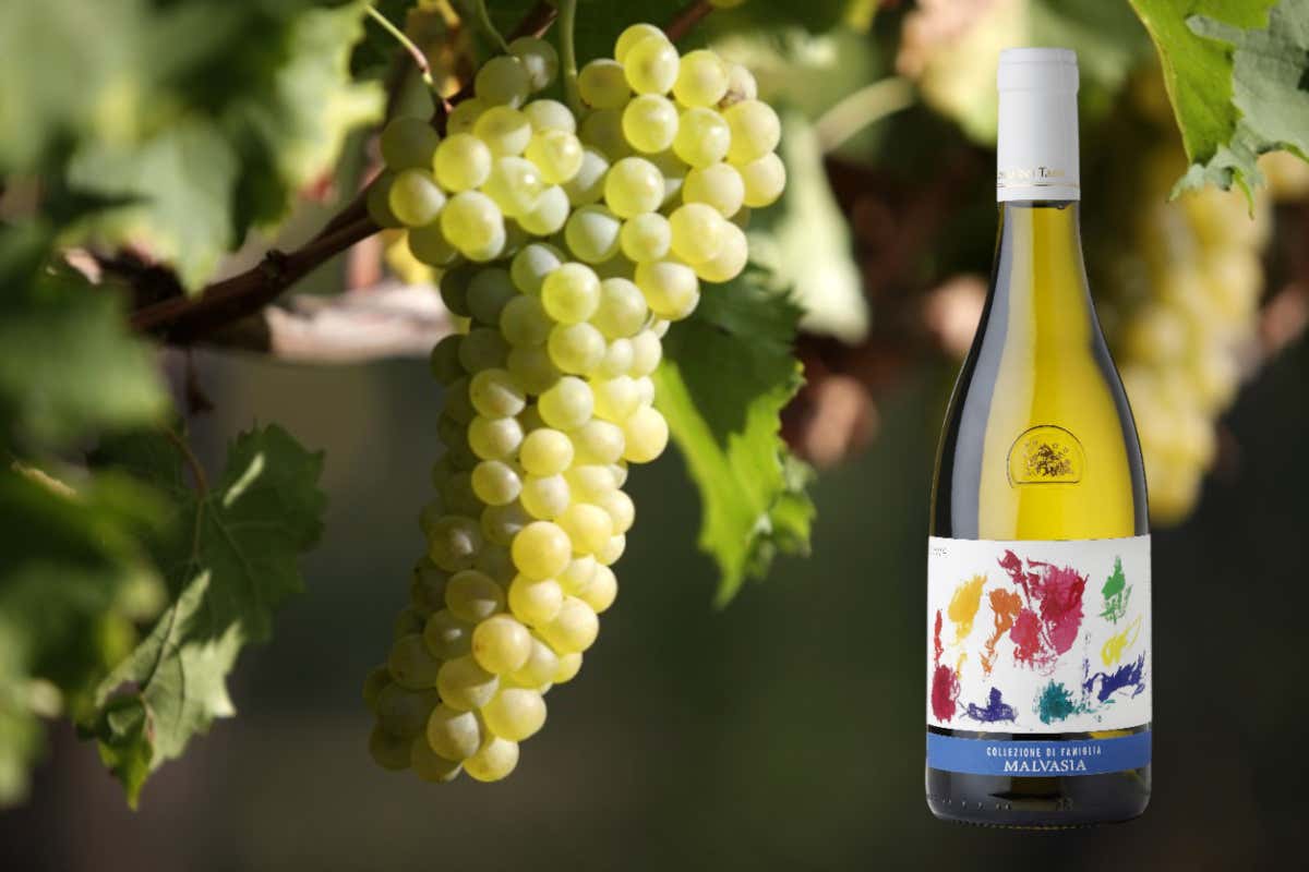 [[Capitale della Cultura... a tavola]]: il Castello di Gorizia e gli gnocchi dolci