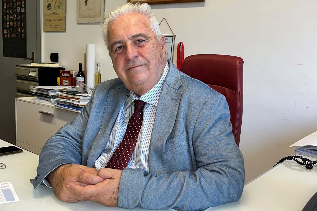 Vendemmia 2025 in anticipo: uva sana e cantine piene, ma il Nord perde terreno Vendemmia 2025 in anticipo: uva sana e cantine piene, ma il Nord perde terreno