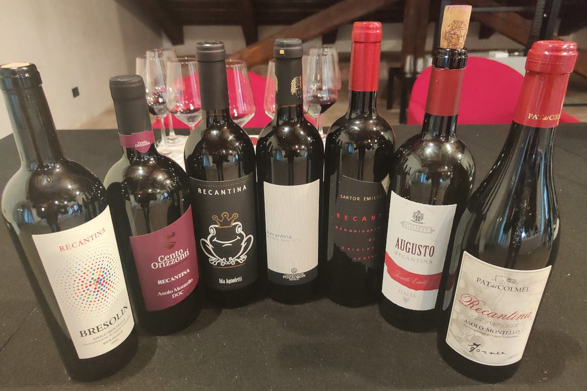 Alcune delle etichette in degustazione a Rossobordò Rossobordò, buona la prima: in mostra i vini del Montello e dei Colli Euganei