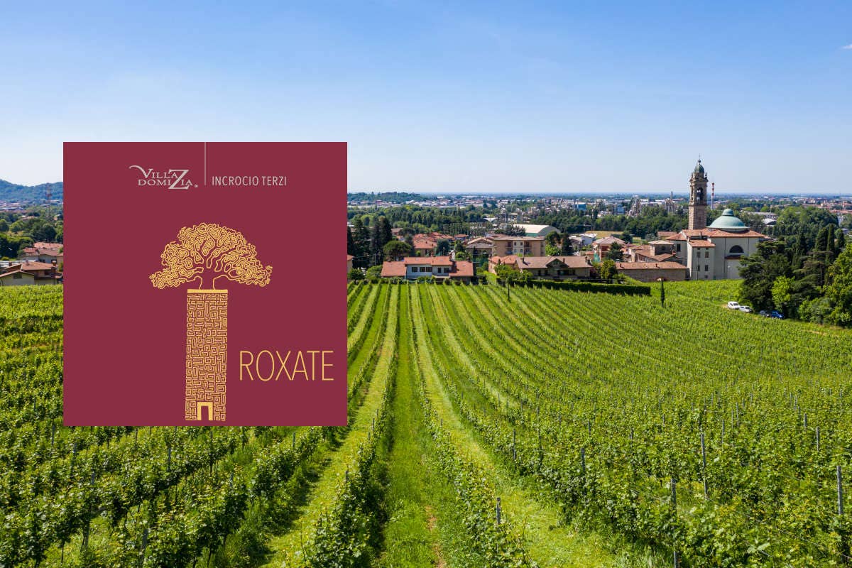 Roxate: nuova identità per l’Incrocio Terzi di Villa Domizia