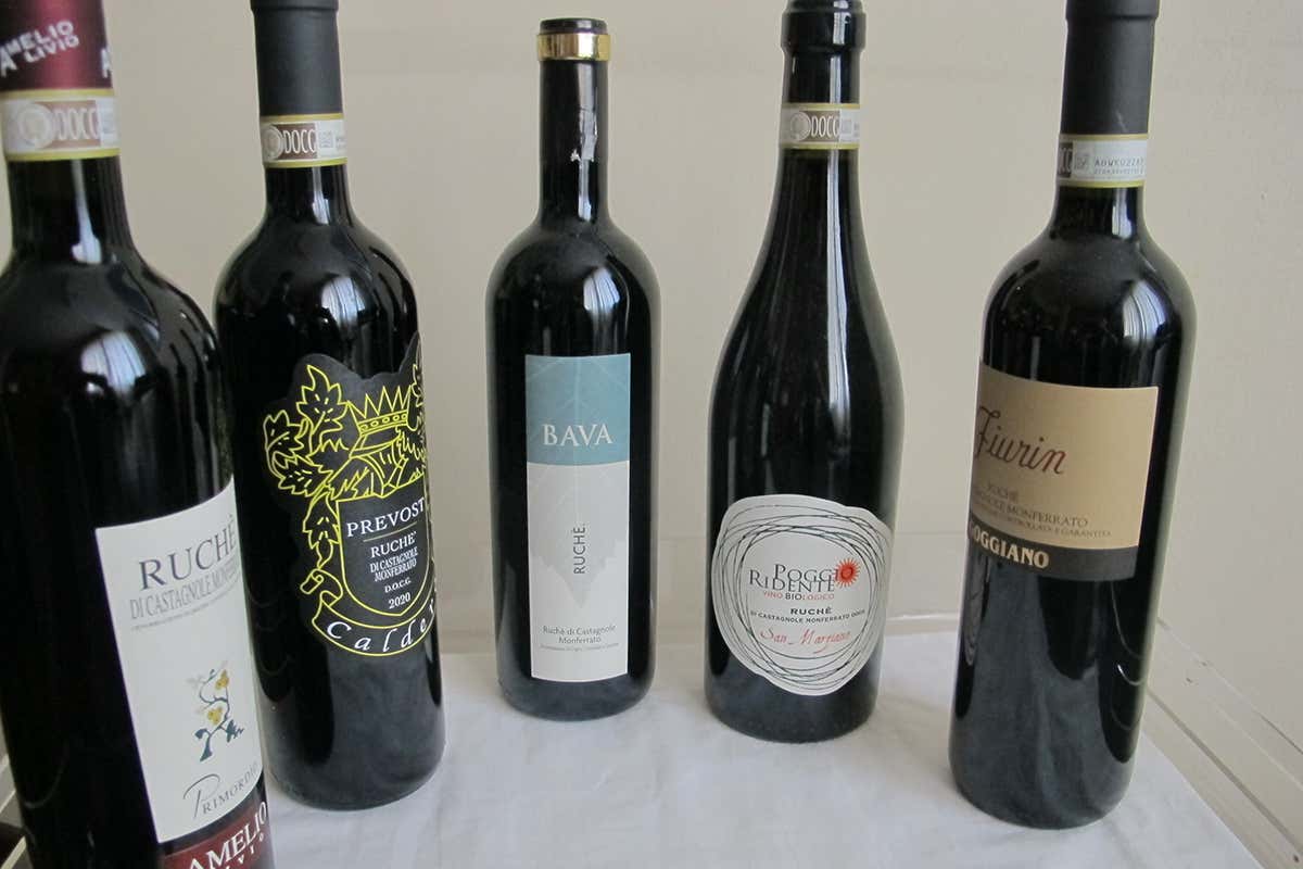 Le altre 5 Ruchè di Castagnole Monferrato, una degustazione d'eccezione Le altre 5 Ruchè di Castagnole Monferrato, una degustazione d'eccezione