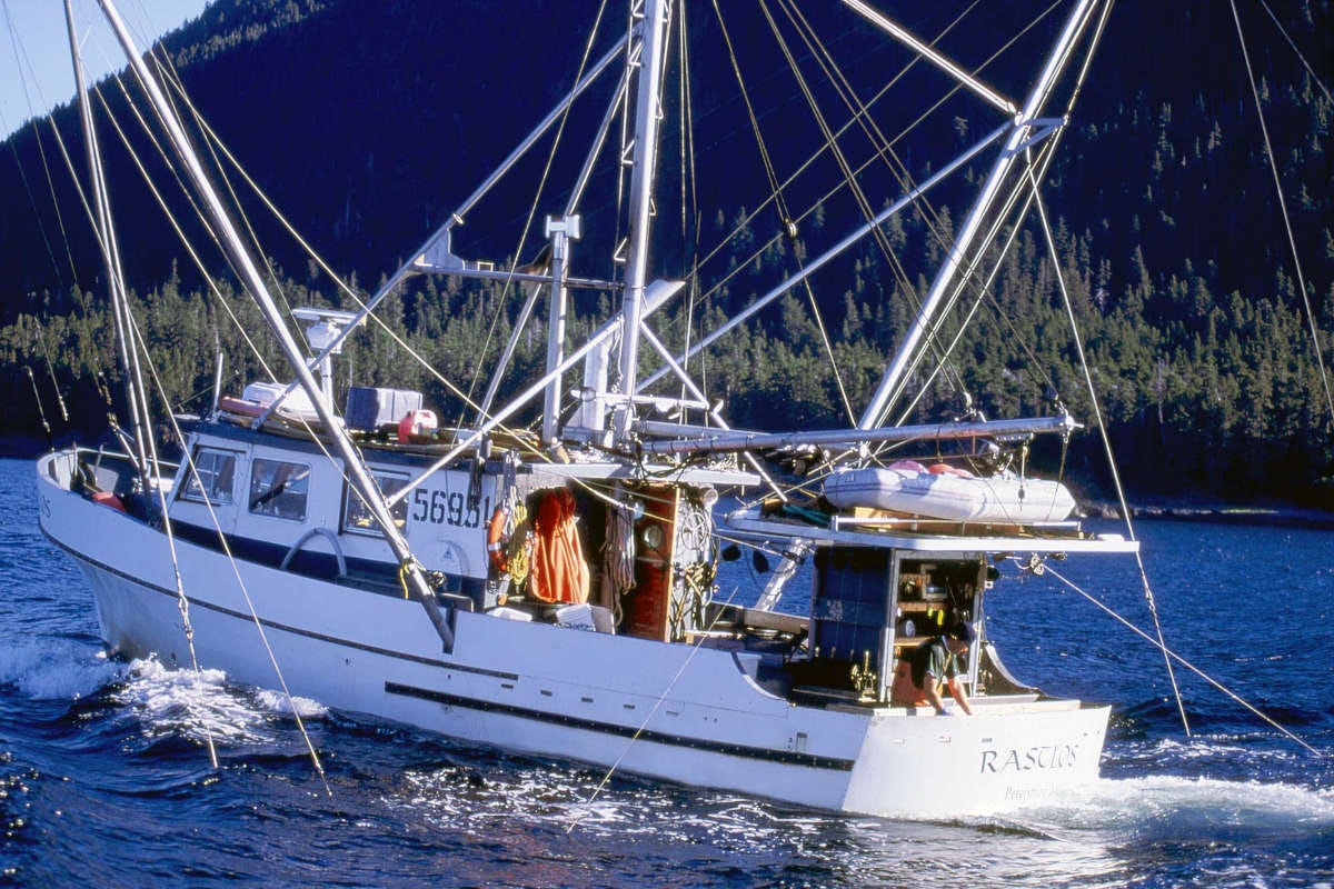Gennaio è anche il mese dei pesci dell'Alaska: ecco perché