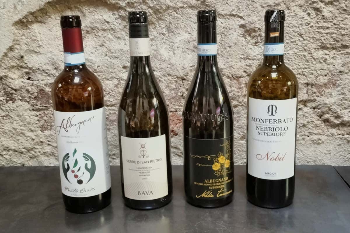 Barbera e Nebbiolo, vini in evoluzione nel Monferrato (fra freschezza e finezza)