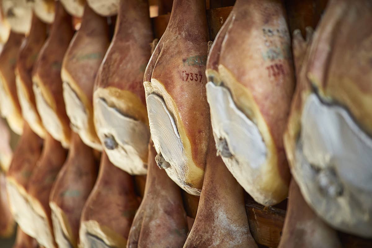 La filiera del Prosciutto di San Daniele Dop comprende 31 stabilimenti produttivi San Daniele del Friuli festeggia il suo prosciutto e non solo