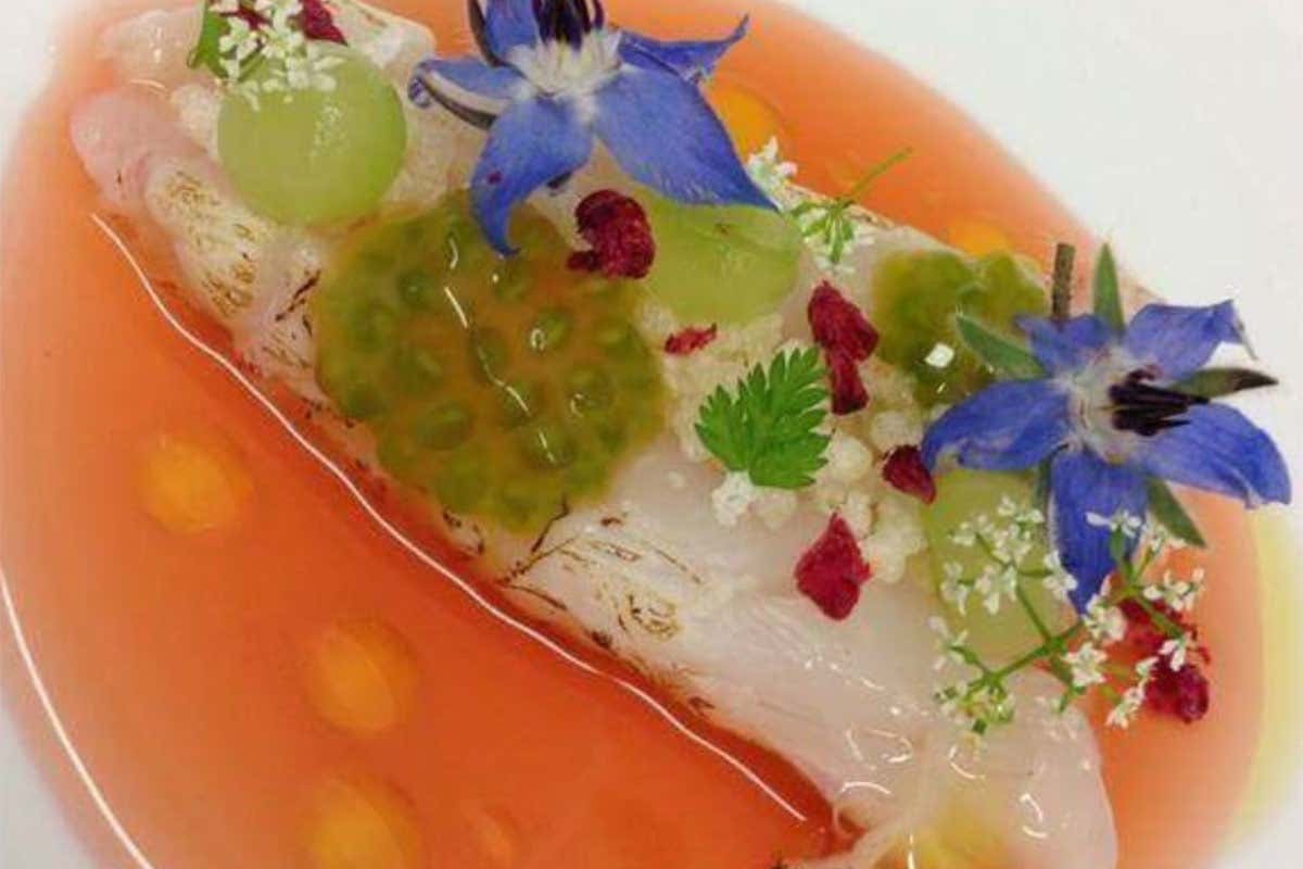 San Pietro in gazpacho di anguria, fiori di borragine e chicchi d&rsquo;uva marinati al passito di Pantelleria San Pietro in gazpacho di anguria, fiori di borragine e chicchi d&rsquo;uva marinati al passito di Pantelleria