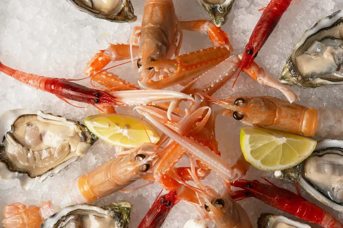 A Venezia apre Santo Mare, il nuovo ristorante di pesce del Baglioni Hotel Luna A Venezia apre Santo Mare, il nuovo ristorante di pesce del Baglioni Hotel Luna