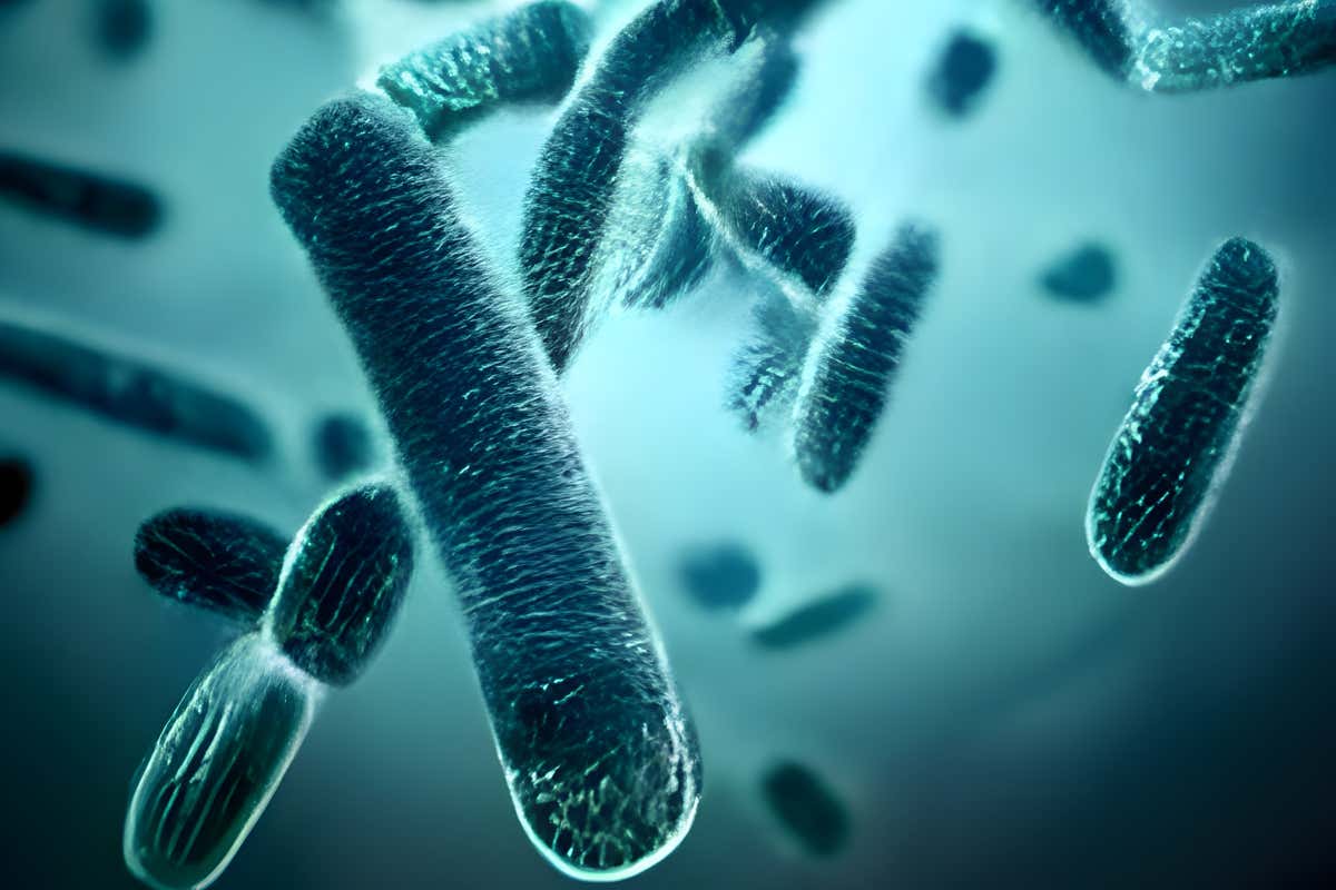 Allarme botulino e latte crudo: ecco perché i formaggi Dop restano sicuri