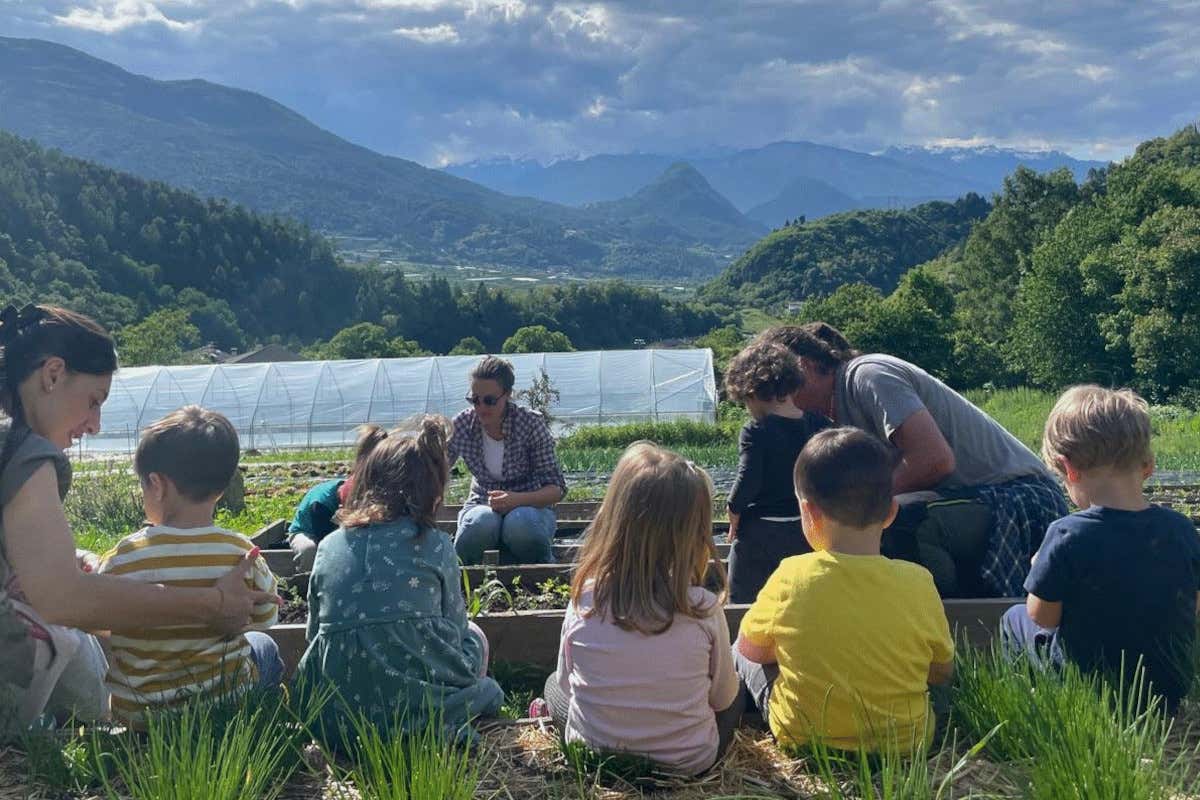 La crociata contro gli sprechi alimentari nelle scuole del Trentino La crociata contro gli sprechi alimentari nelle scuole del Trentino