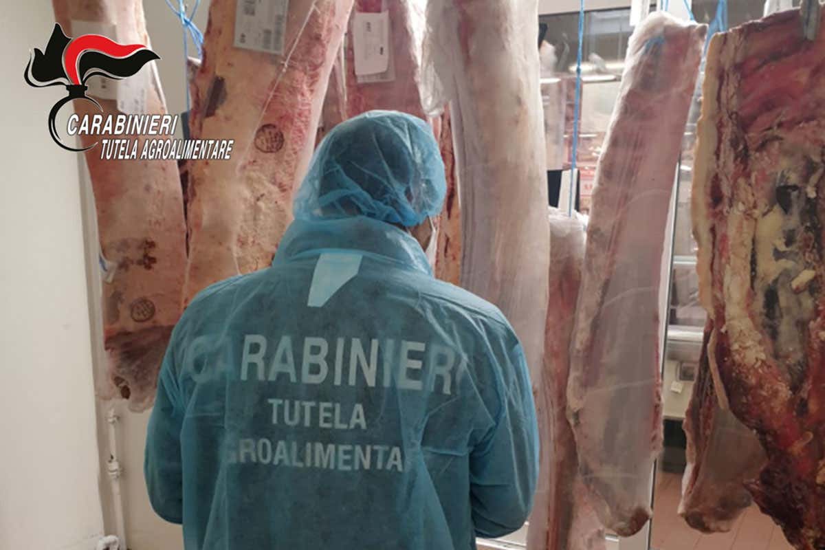 Sequestrati 2.000 kg di carne: abbacchio estero venduto come italiano
