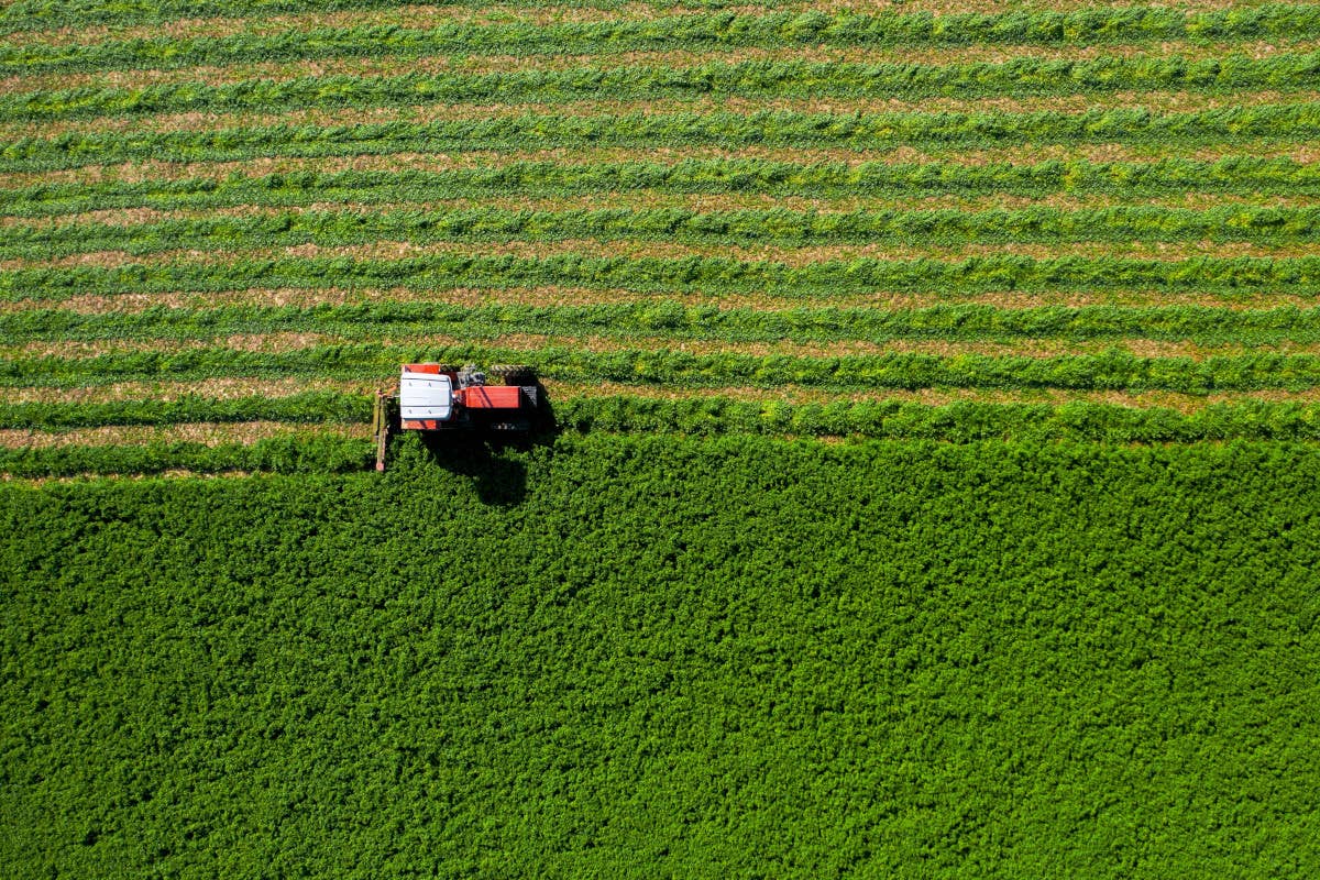 L'agricoltura italiana brilla in Europa: è 2ª per valore aggiunto nel primario