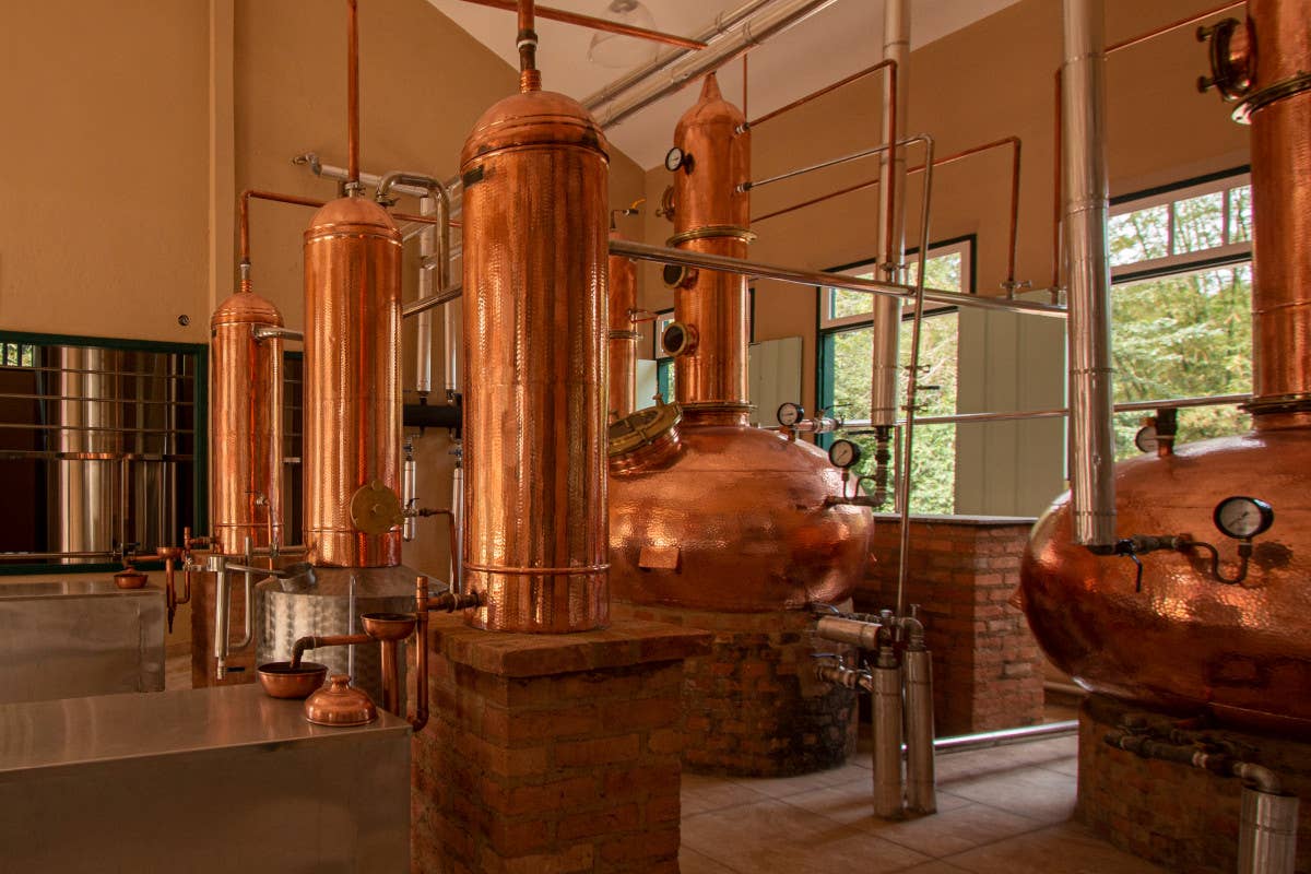 La grappa come il whisky: l'evoluzione di un nobile distillato italiano