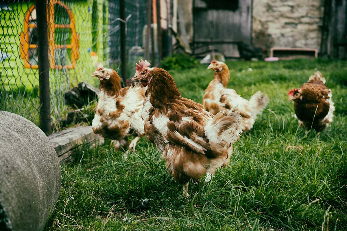 Arriva l'accordo UE-Mercosur: coinvolto un quarto del Pil mondiale, tra opportunità e sfide per l’Italia