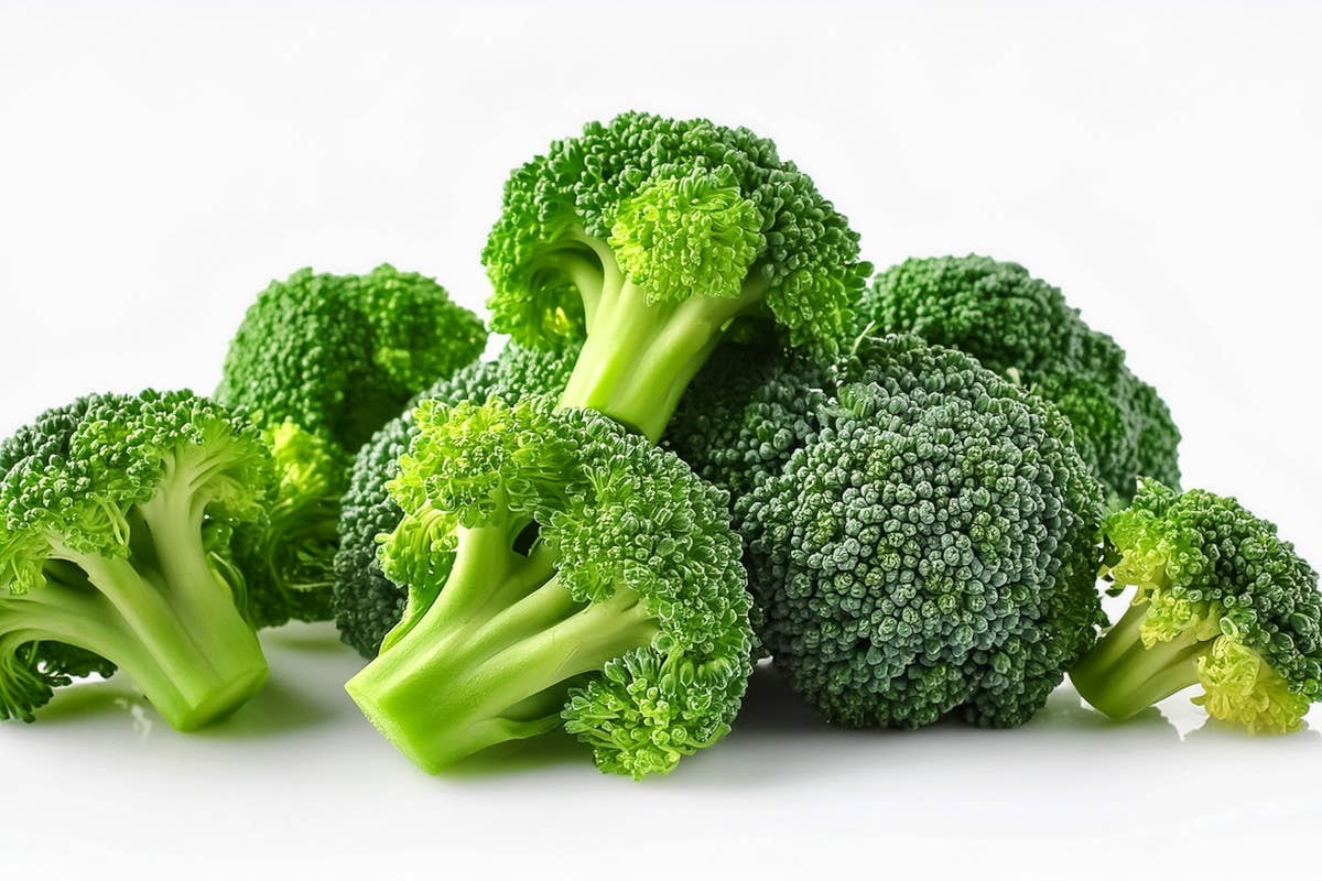 Broccoli: il superalimento versatile per la salute e il benessere