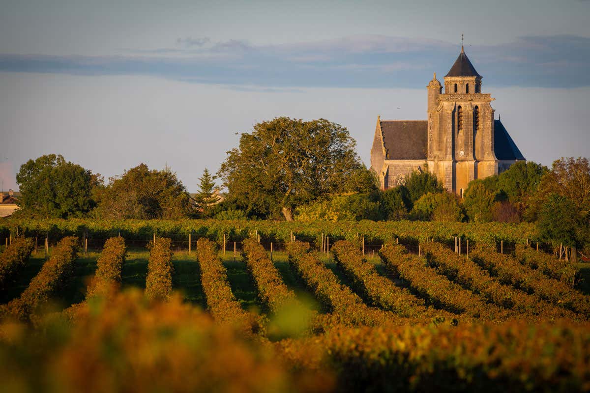 Alla scoperta del Cognac: il distillato nobile dimenticato dai barman moderni