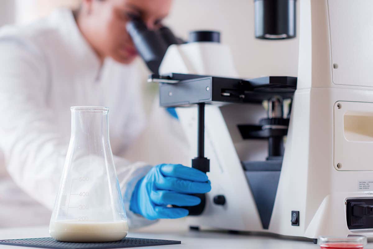 Frodi alimentari, si stringe la morsa anche sul latte di bufala: ecco cosa cambia